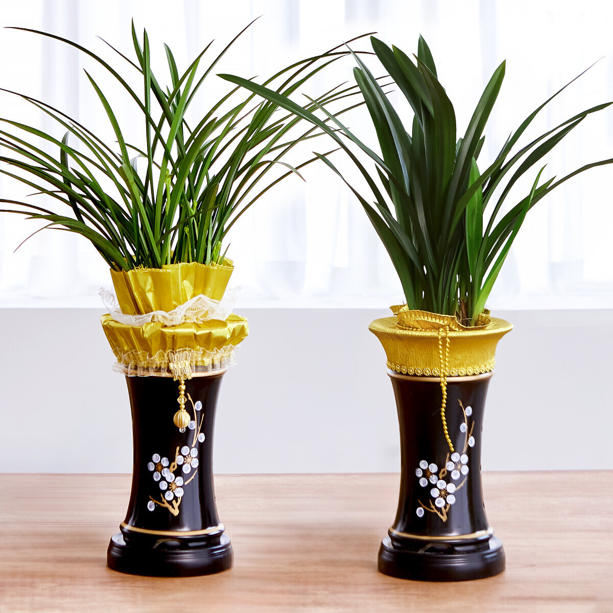 꽃집청년들,고민NO 동양란-동