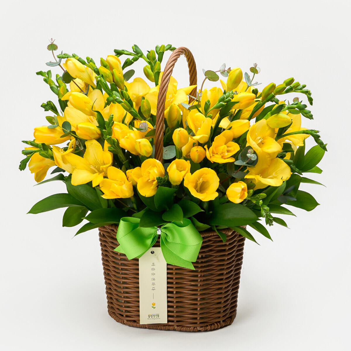 꽃집청년들,봄향기 솔솔~ 프리지아