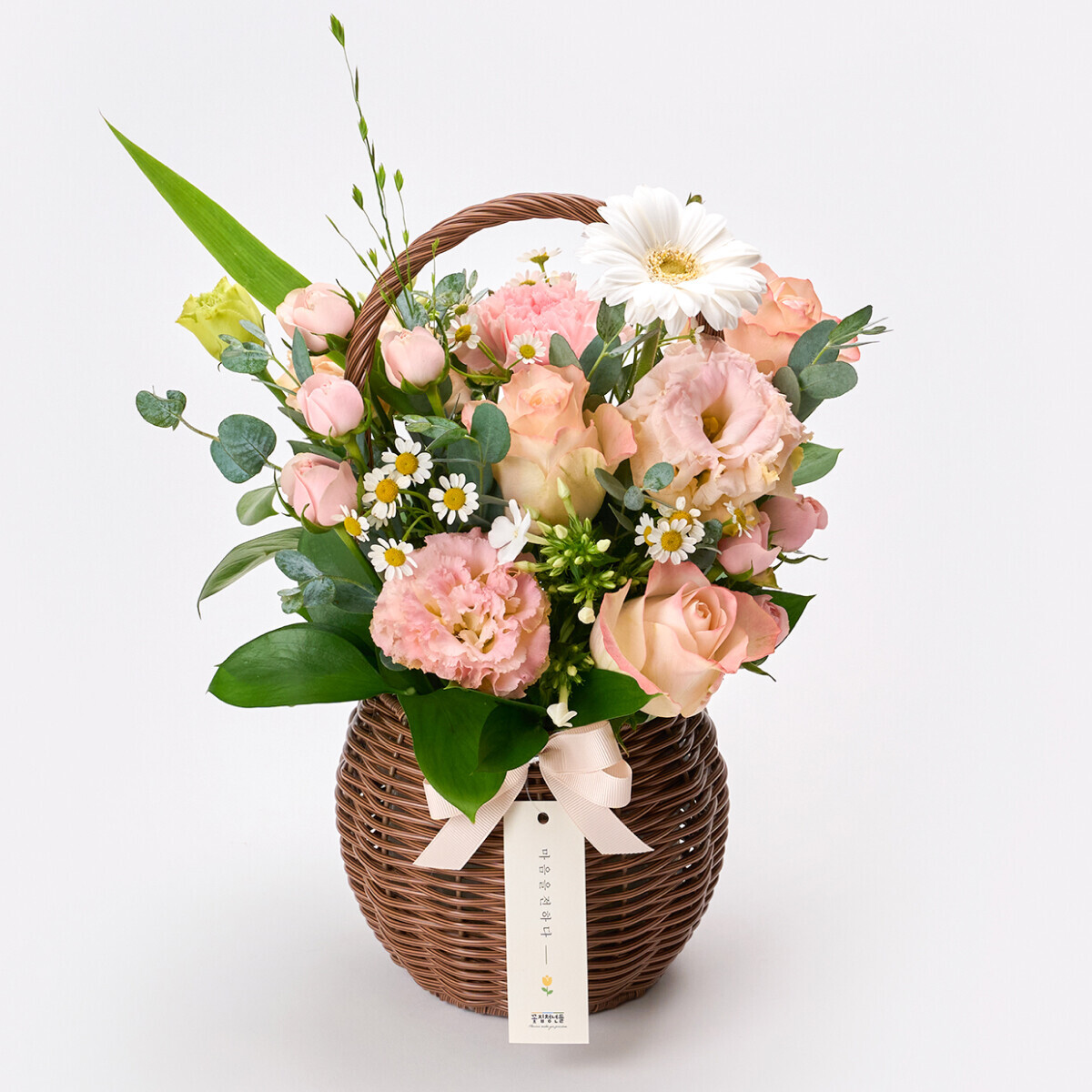 꽃집청년들,미스티 로즈