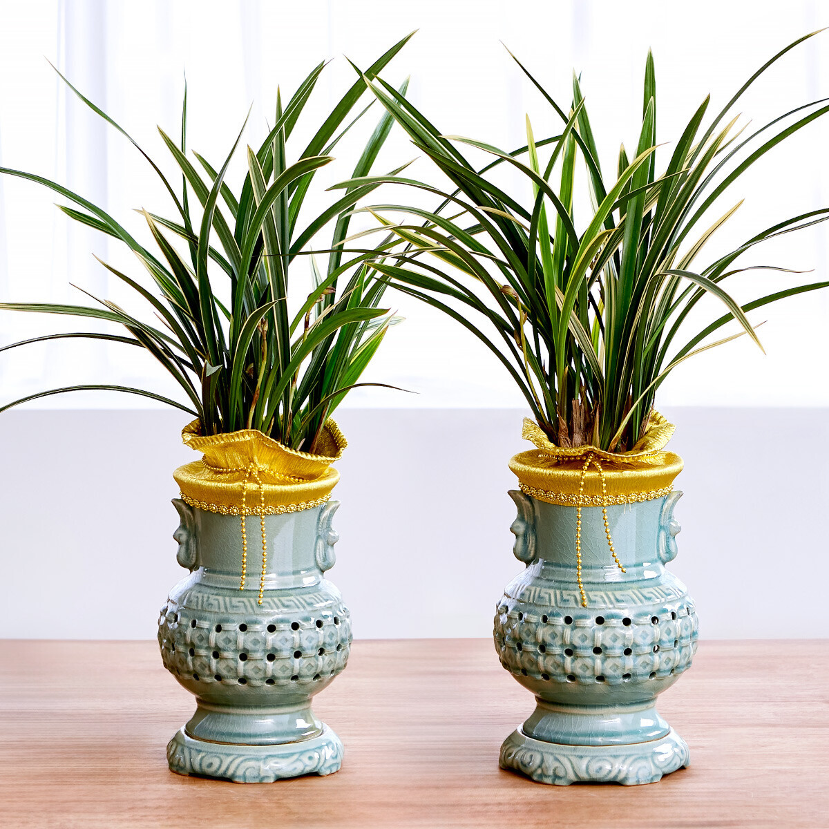 꽃집청년들,고민NO 동양란-서