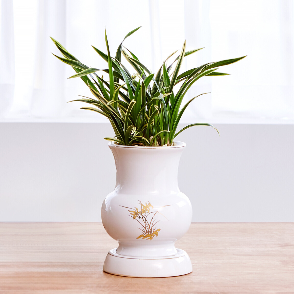 꽃집청년들,대국 화기