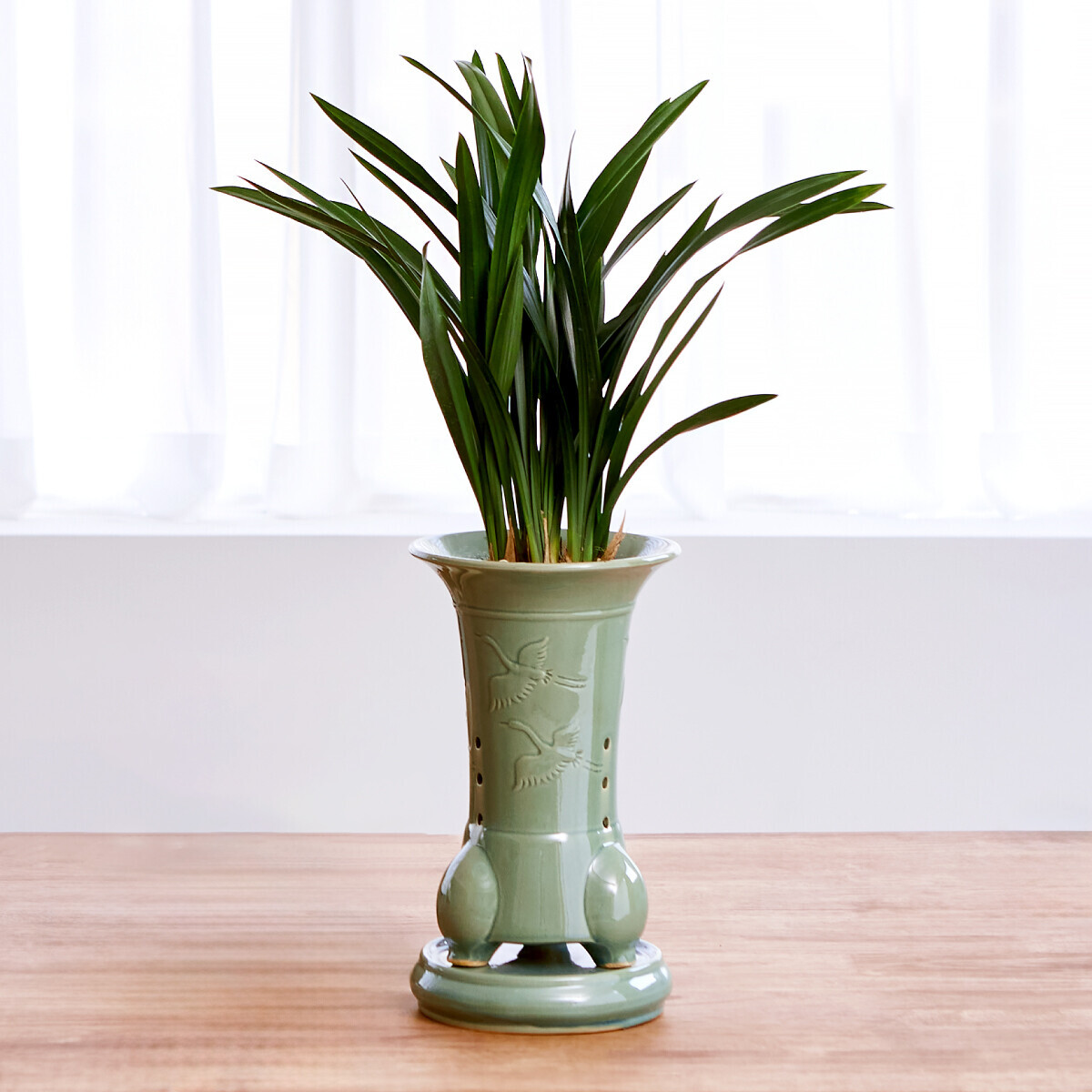 꽃집청년들,산천보세 청자