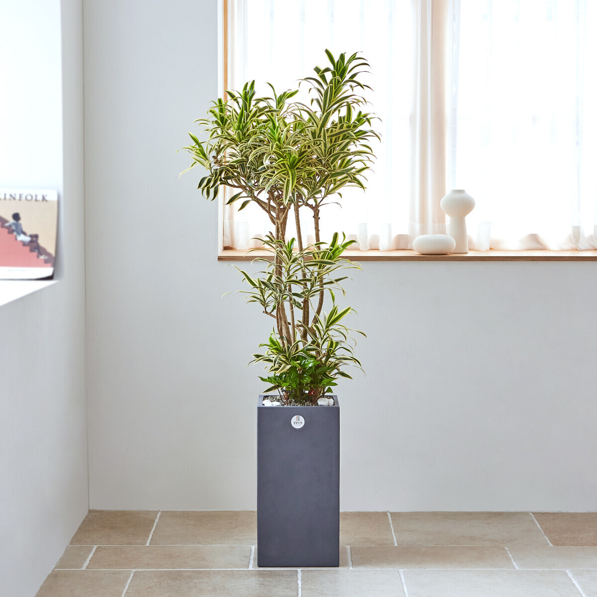 꽃집청년들,송오브인디아 모던라인