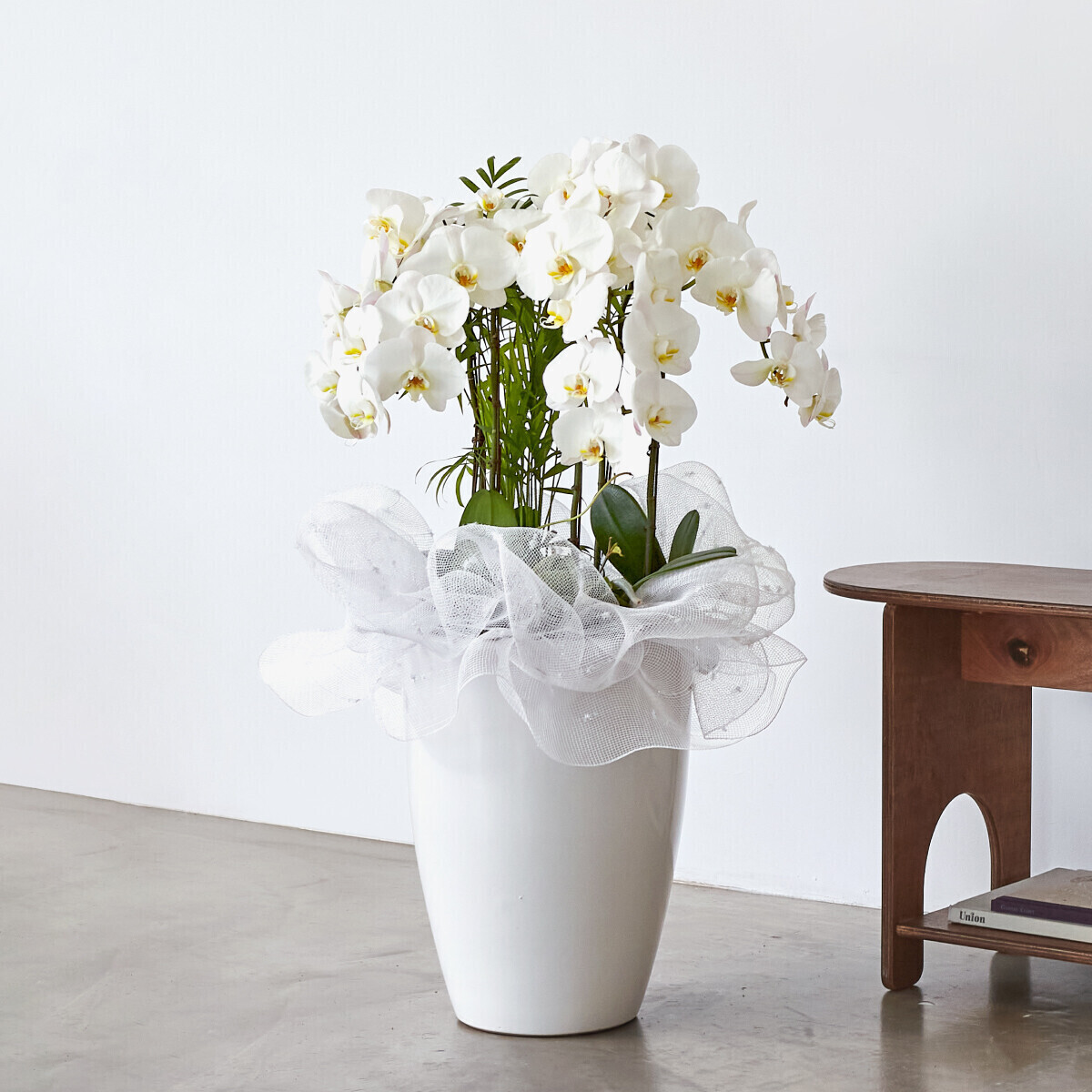 꽃집청년들,근조 흰색호접란 클래식