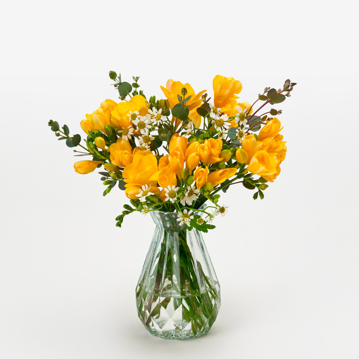 꽃집청년들,MIX 프리지아