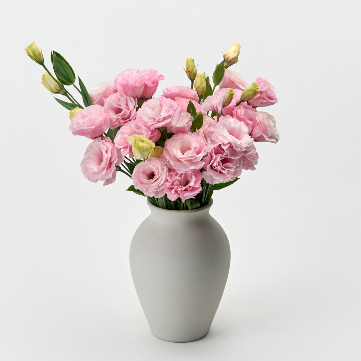 꽃집청년들,리시안셔스 핑크 5대