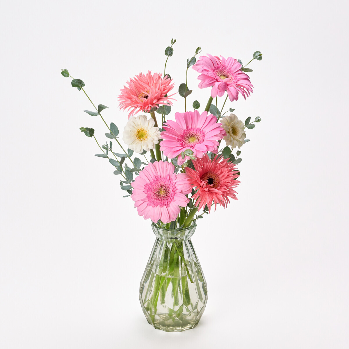 꽃집청년들,MIX 거베라