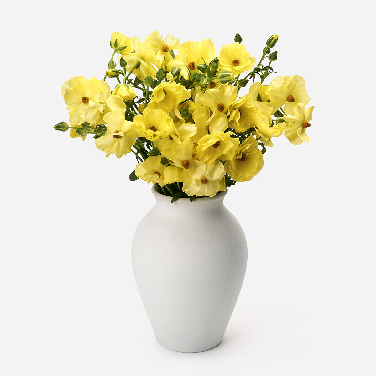 꽃집청년들,버터플라이 노랑 5대