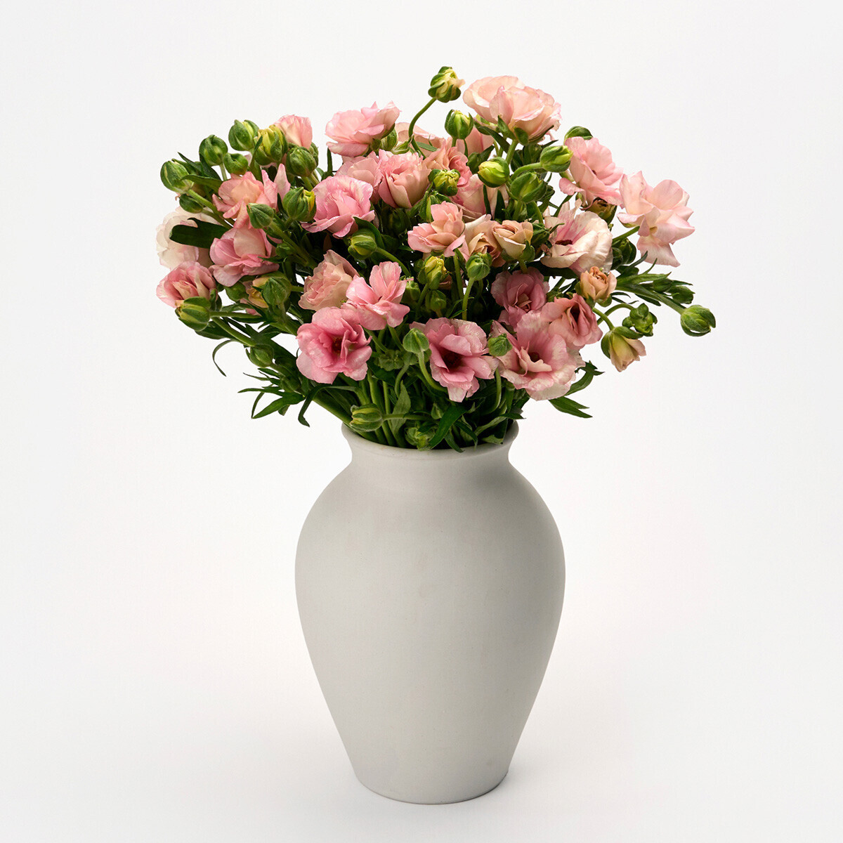 꽃집청년들,버터플라이 핑크 5대