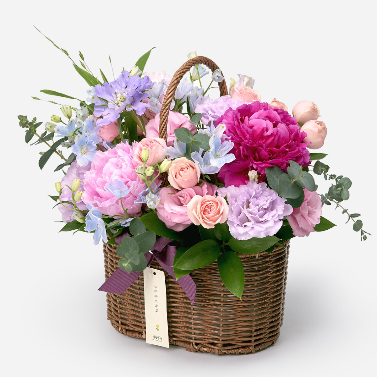 꽃집청년들,레인보우 파스텔