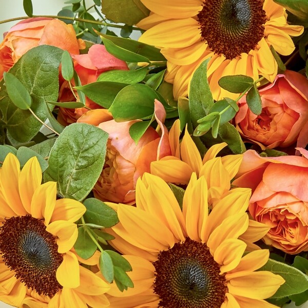 꽃집청년들,너라는 해