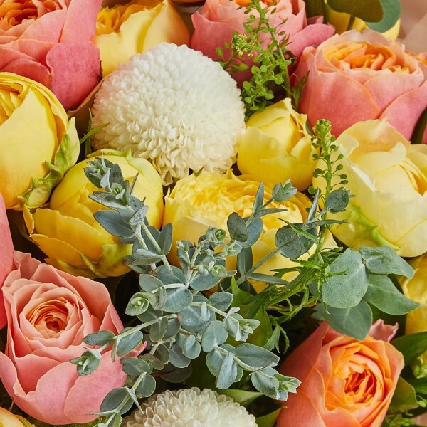 꽃집청년들,로지 선데이