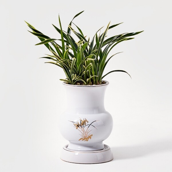 꽃집청년들,대국 화기