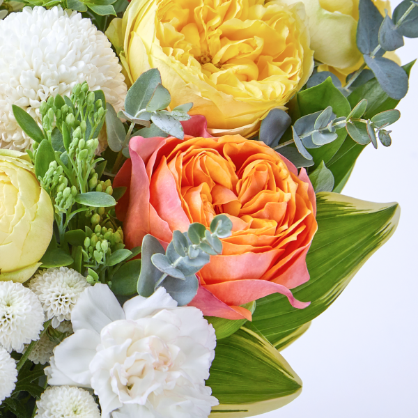 꽃집청년들,골든 아워