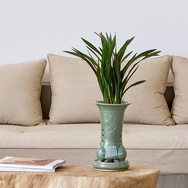 꽃집청년들,산천보세 청자