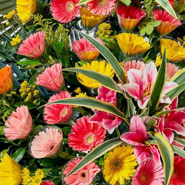 꽃집청년들,3단 축하화환 2호