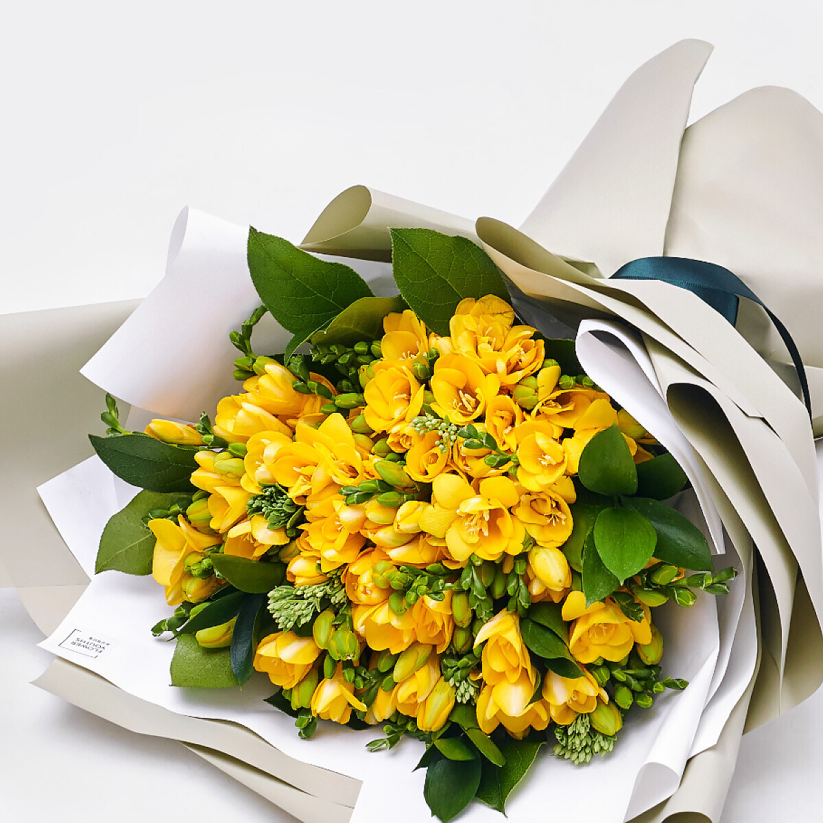 꽃집청년들,향긋한 봄, 프리지아