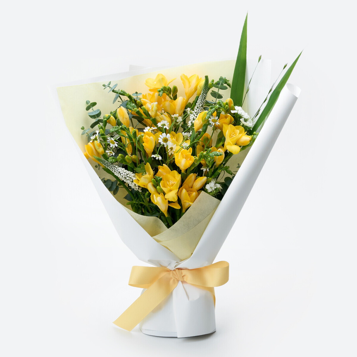 꽃집청년들,봄햇살 프리지아