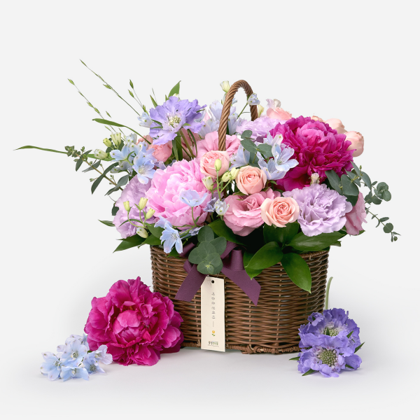 꽃집청년들,레인보우 파스텔