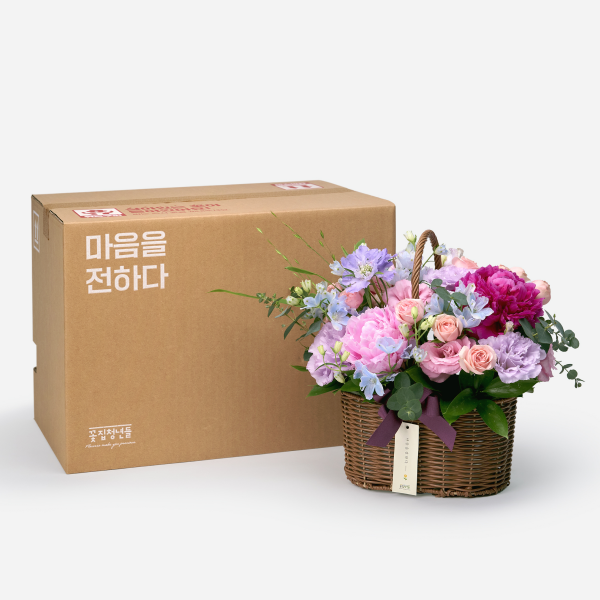 꽃집청년들,레인보우 파스텔