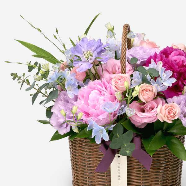 꽃집청년들,레인보우 파스텔