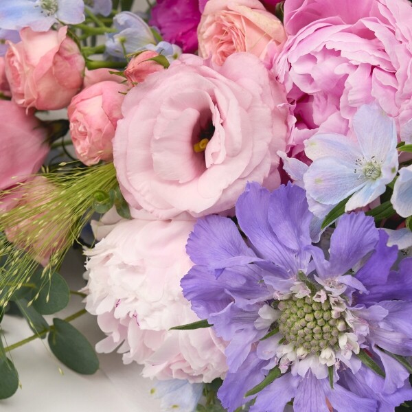 꽃집청년들,스트로베리문