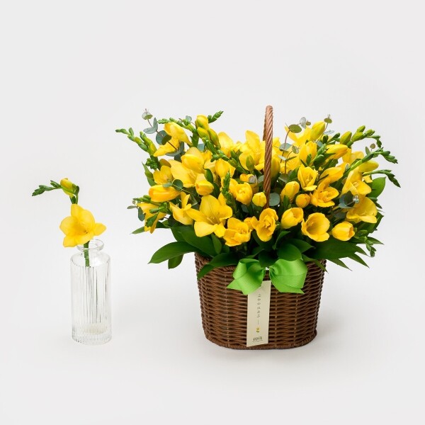 꽃집청년들,봄향기 솔솔~ 프리지아