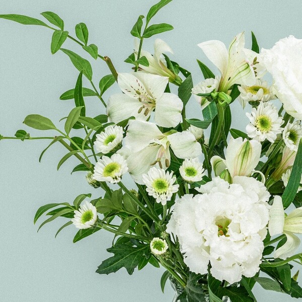 꽃집청년들,MIX 화이트그린