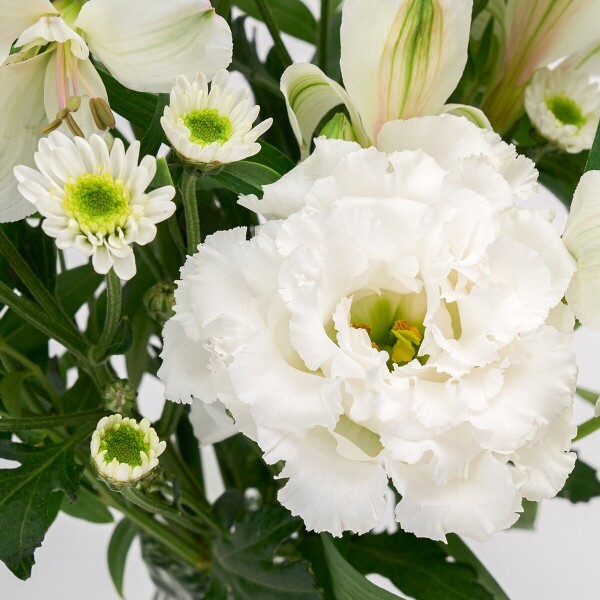 꽃집청년들,MIX 화이트그린