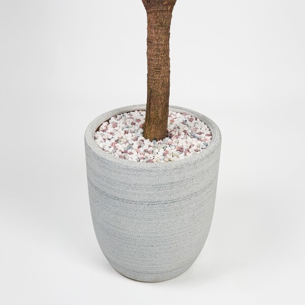 꽃집청년들,떡갈고무나무(서울한정)