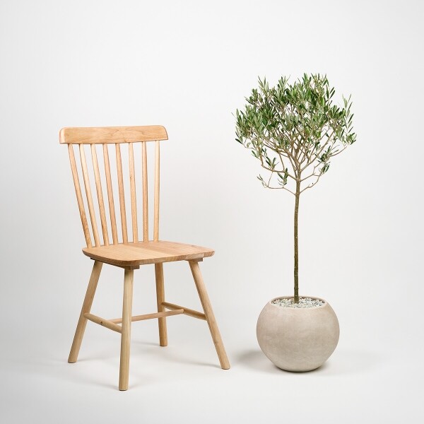 꽃집청년들,올리브(서울한정)