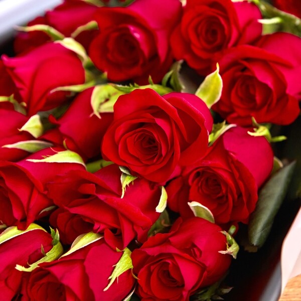 꽃집청년들,그녀에게