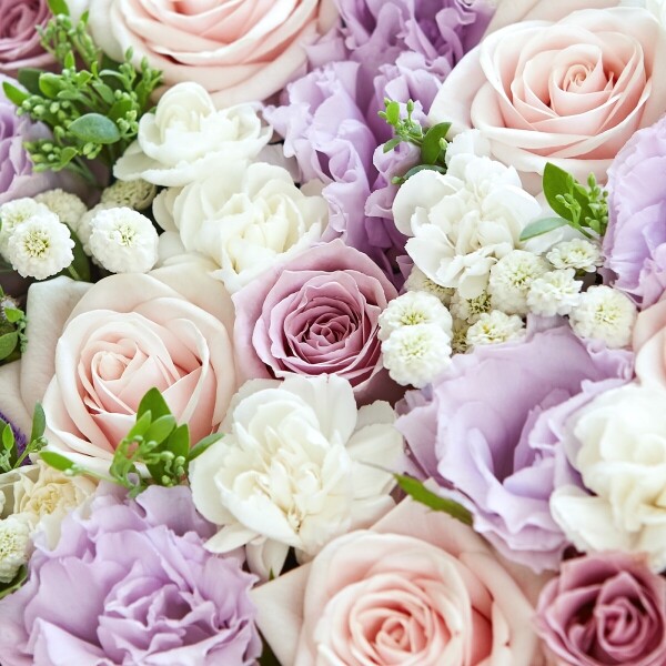 꽃집청년들,블루밍