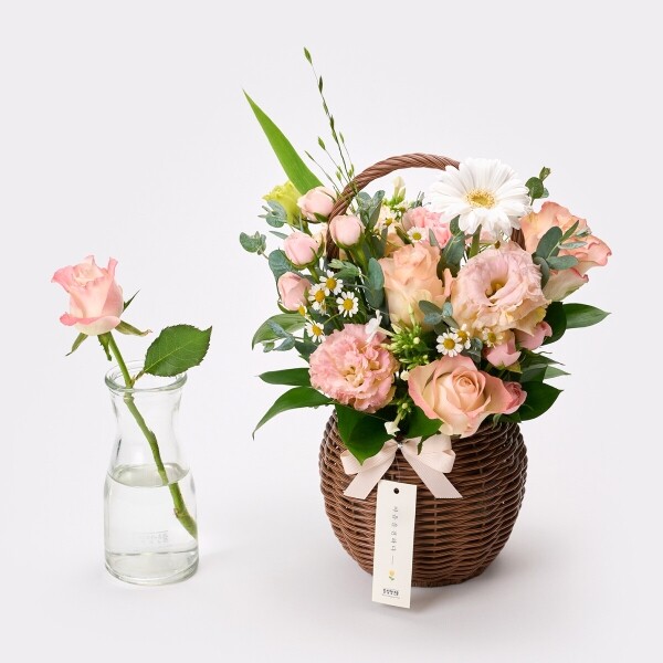 꽃집청년들,미스티 로즈