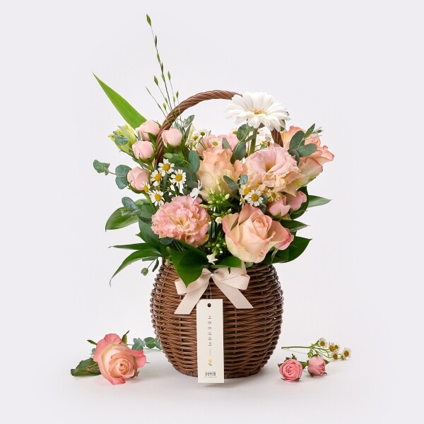 꽃집청년들,미스티 로즈