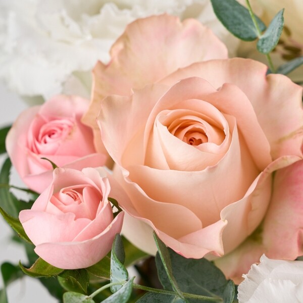 꽃집청년들,로맨스 로즈