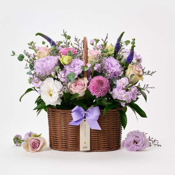 꽃집청년들,바이올렛 세이즈