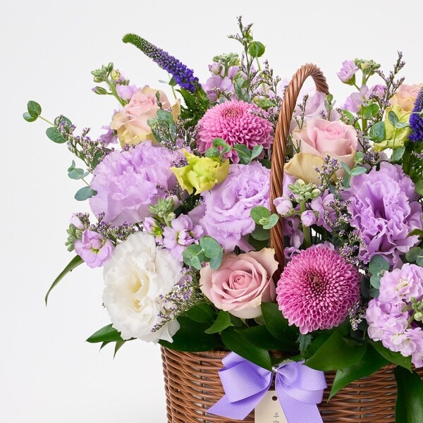 꽃집청년들,바이올렛 세이즈