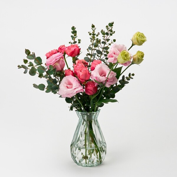 꽃집청년들,자나 장미 5대