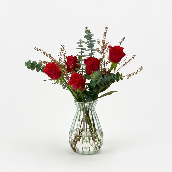 꽃집청년들,푸에고 장미 5대