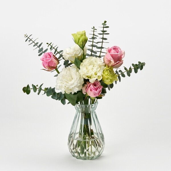 꽃집청년들,헤라 장미 5대