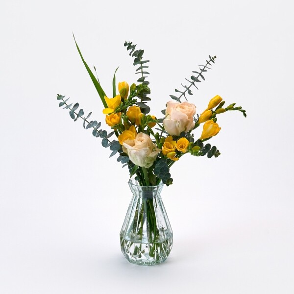 꽃집청년들,프리지아 10대