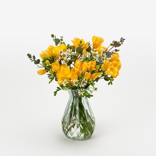 꽃집청년들,유칼립투스 구니 5대