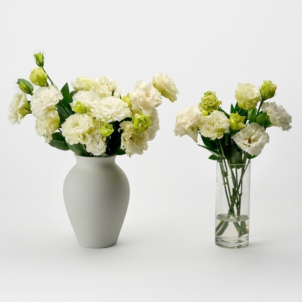 꽃집청년들,리시안셔스 화이트 5대