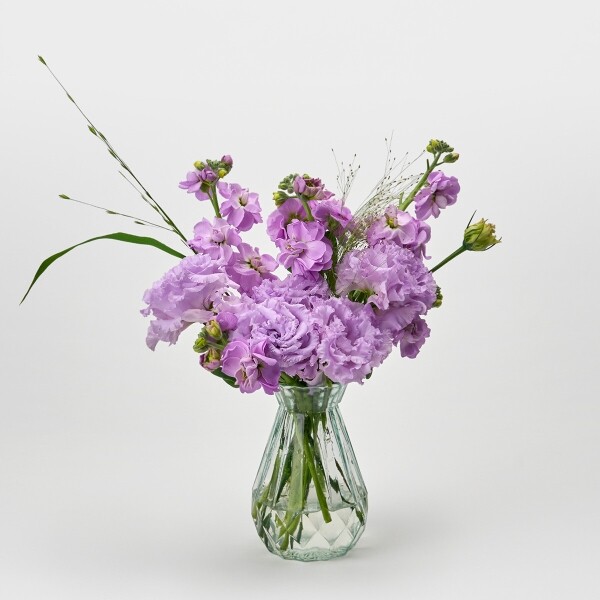 꽃집청년들,리시안셔스 라벤더 5대