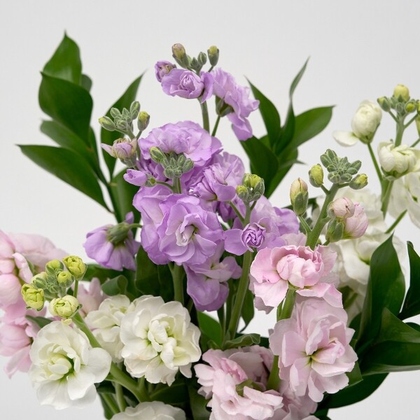 꽃집청년들,MIX 스토크