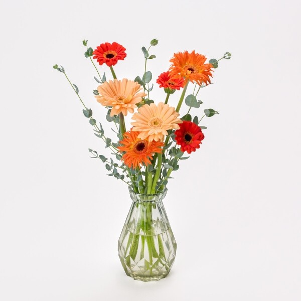 꽃집청년들,MIX 거베라