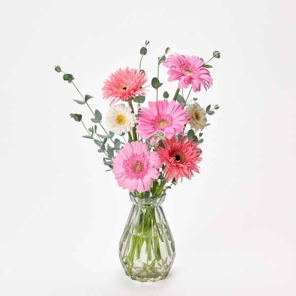 꽃집청년들,MIX 거베라