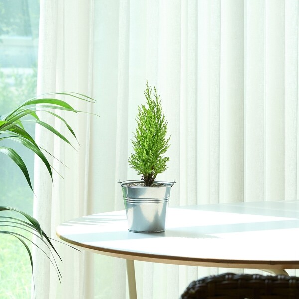 꽃집청년들,미니 율마 양동이 화분