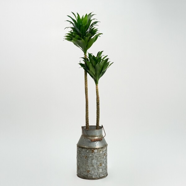 꽃집청년들,콤팩타 양동이 화분(서울한정)